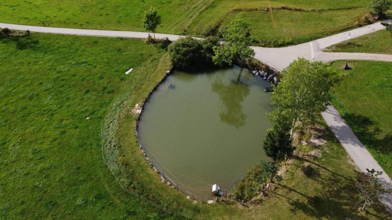 Ferienhof Kienbronnerhof Schiltach Eksteriør bilde