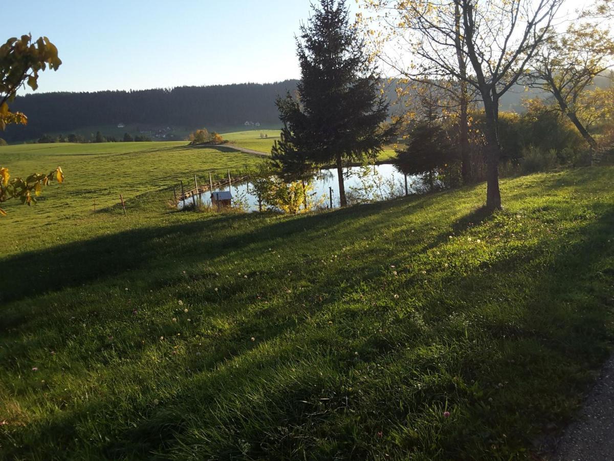 Ferienhof Kienbronnerhof Schiltach Eksteriør bilde